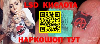 дживик Можга