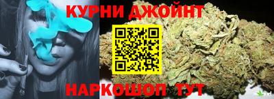 дживик Можга