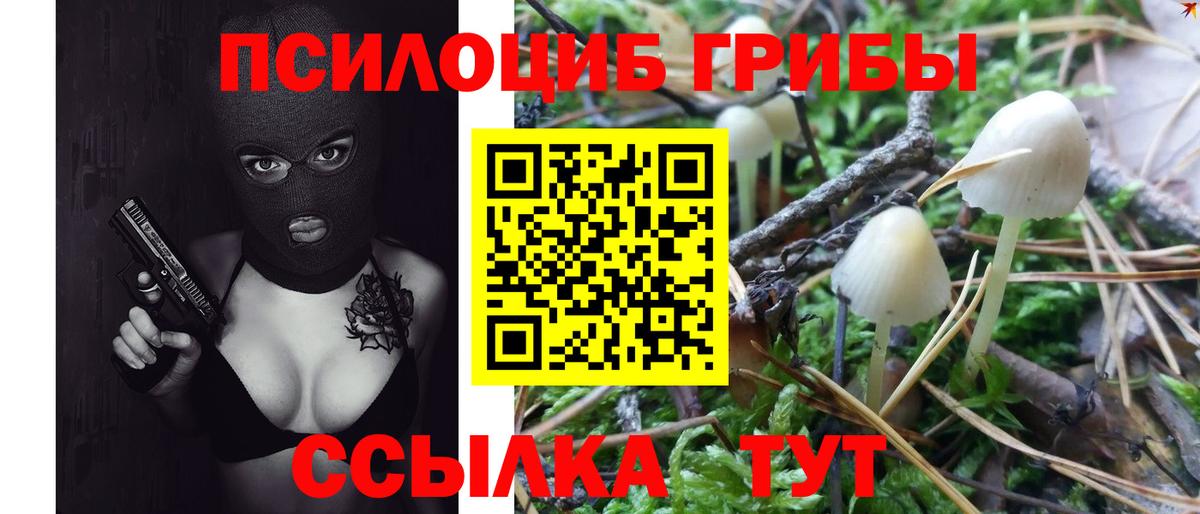 Галлюциногенные грибы MAGIC MUSHROOMS Россия